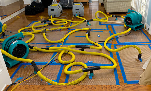 Professional Sewage Cleanup technician working in Whitakers, NC